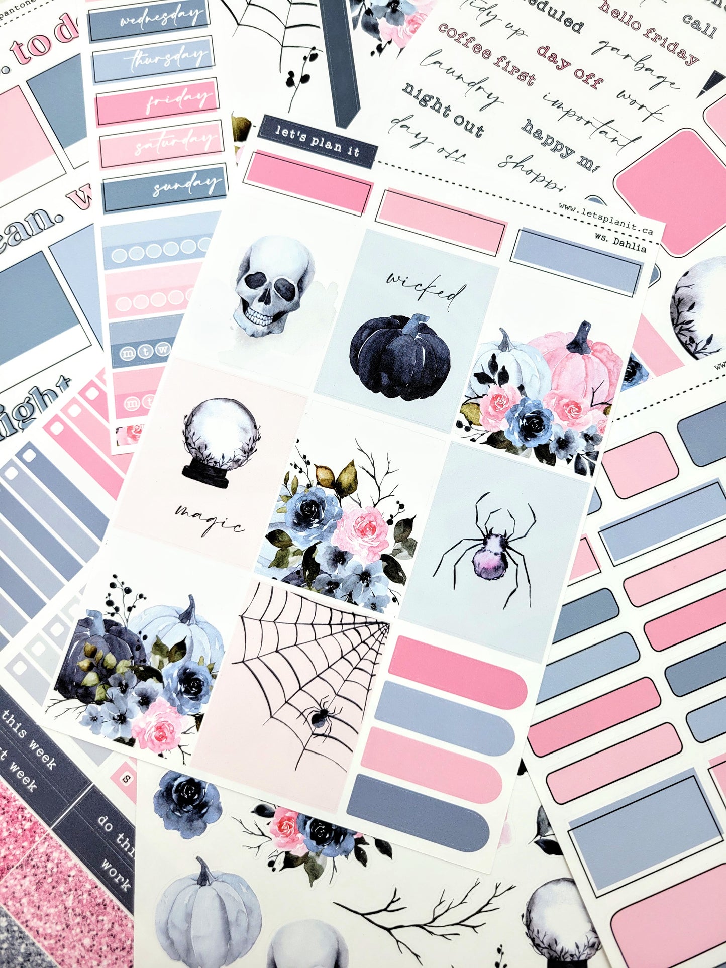 DAHLIA COLLECTION | Weekly Kits