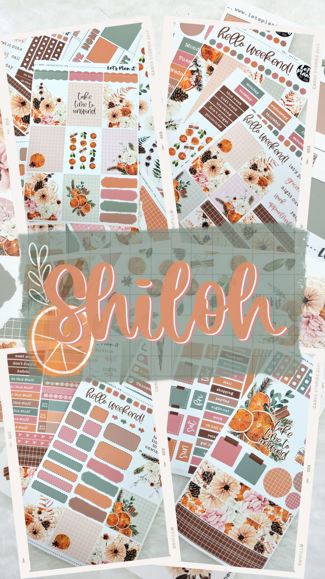 SHILOH COLLECTION | Weekly Kits