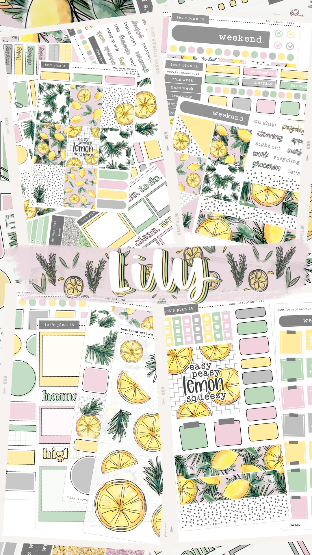 LILY COLLECTION | Weekly Kits