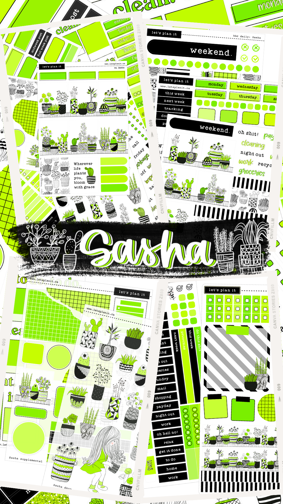 SASHA COLLECTION | Weekly Kits