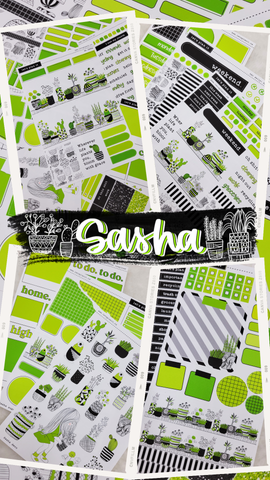 SASHA COLLECTION | Weekly Kits