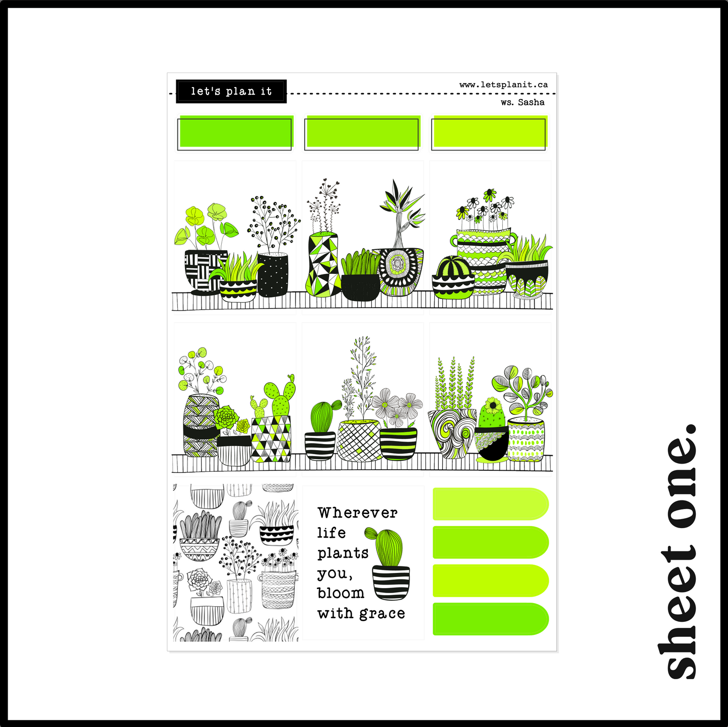 SASHA COLLECTION | Weekly Kits
