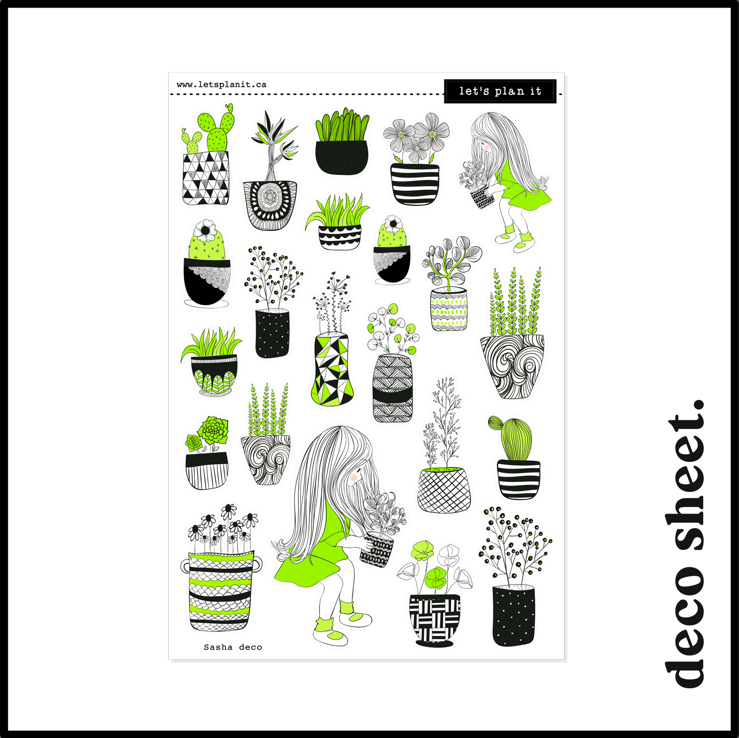 SASHA COLLECTION | Weekly Kits