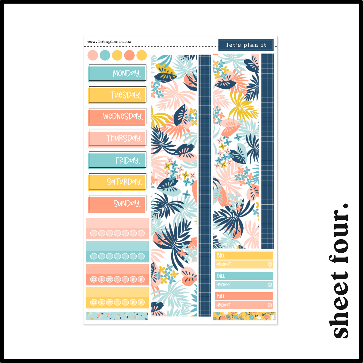 ROXY COLLECTION | Weekly Kits