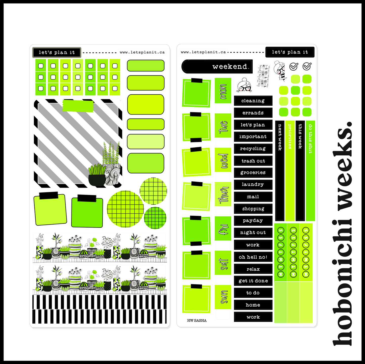 SASHA COLLECTION | Weekly Kits