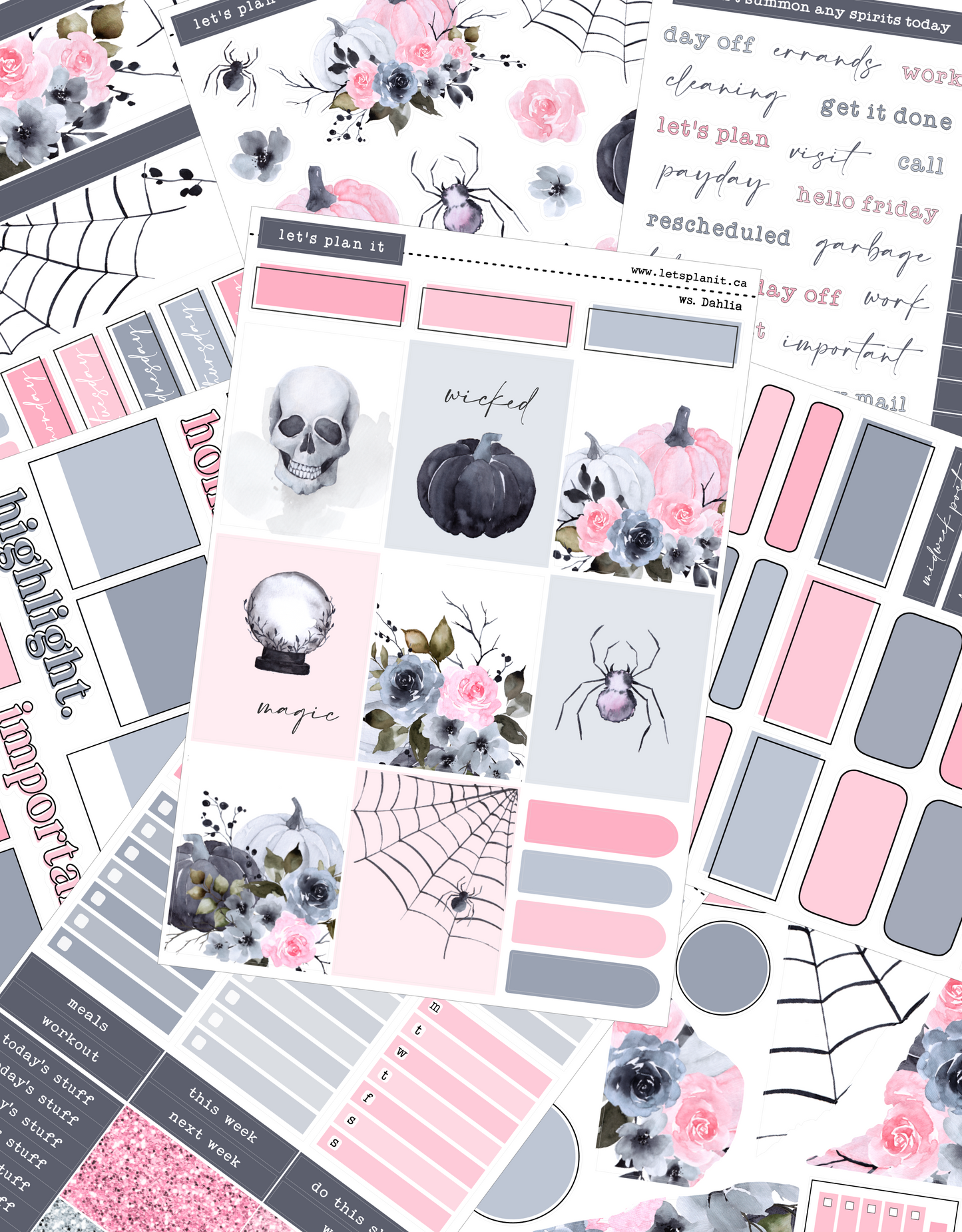 DAHLIA COLLECTION | Weekly Kits