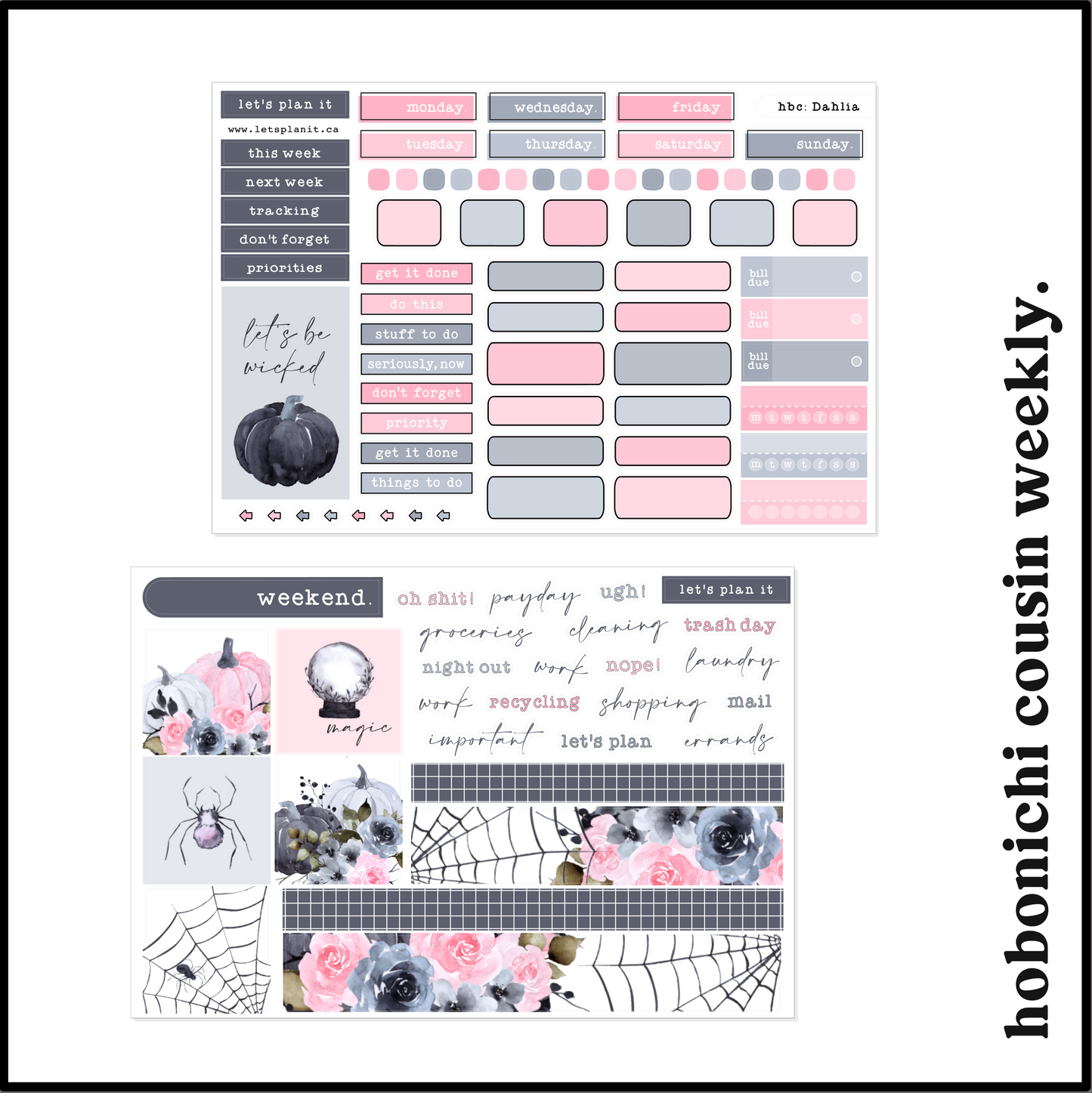 DAHLIA COLLECTION | Weekly Kits