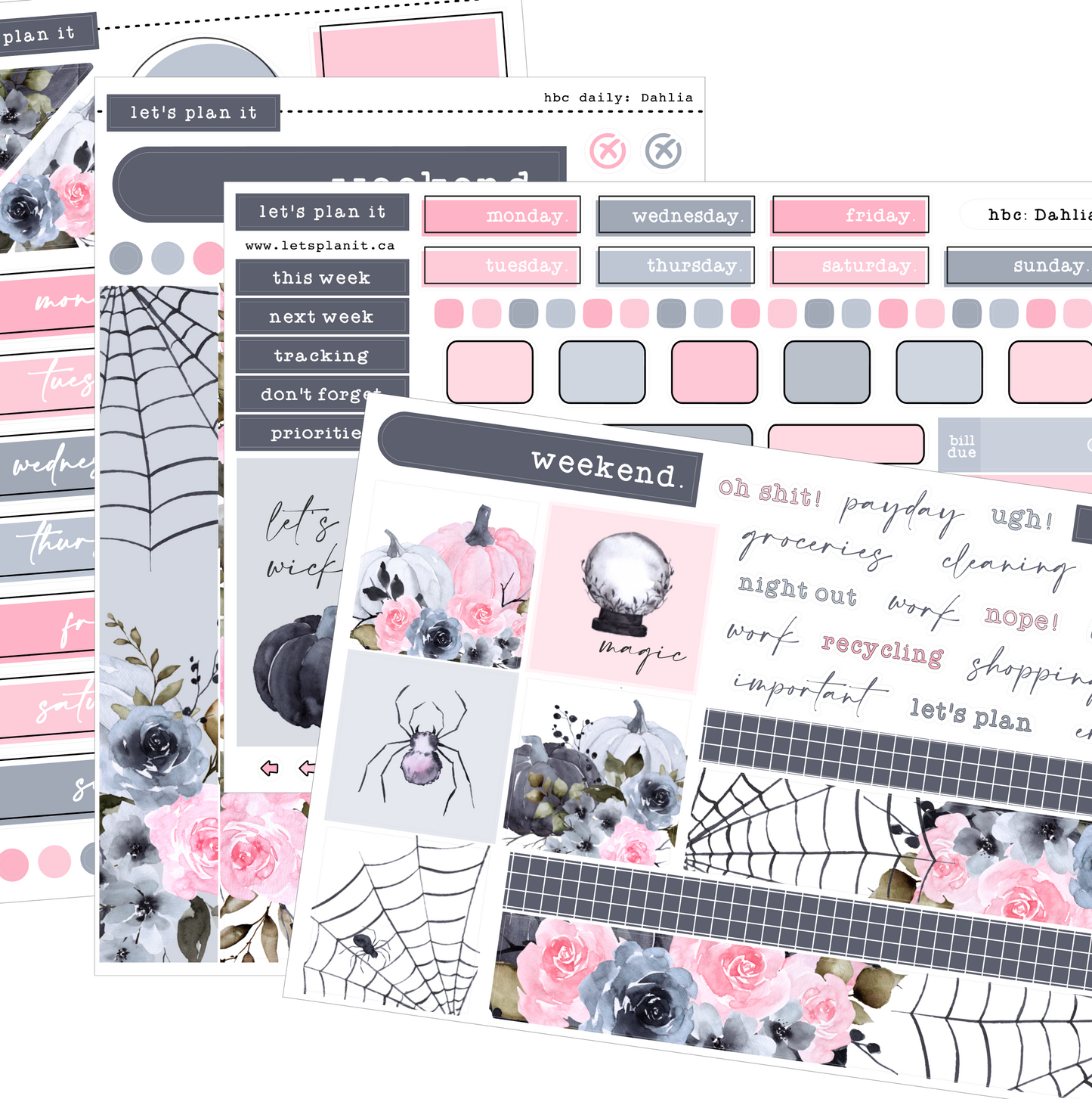 DAHLIA COLLECTION | Weekly Kits