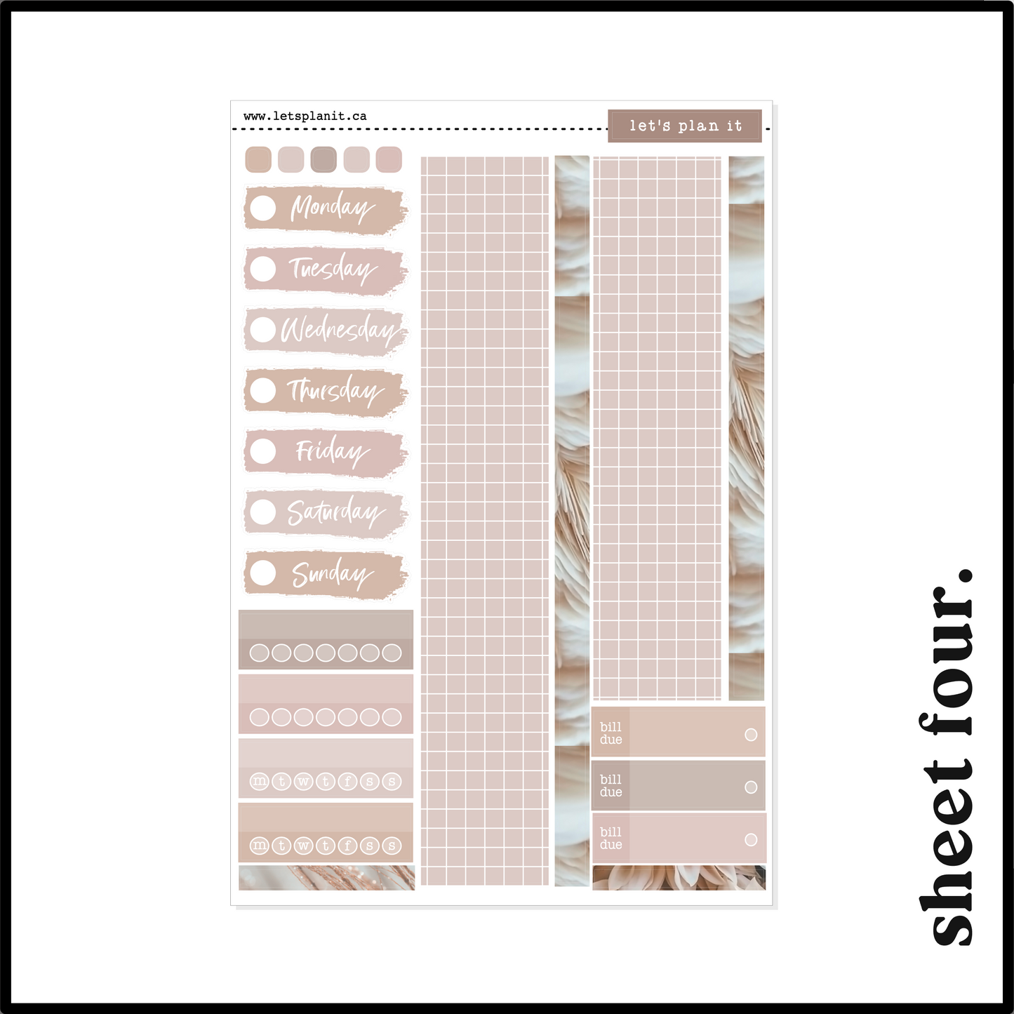 DELIA COLLECTION | Weekly Kits
