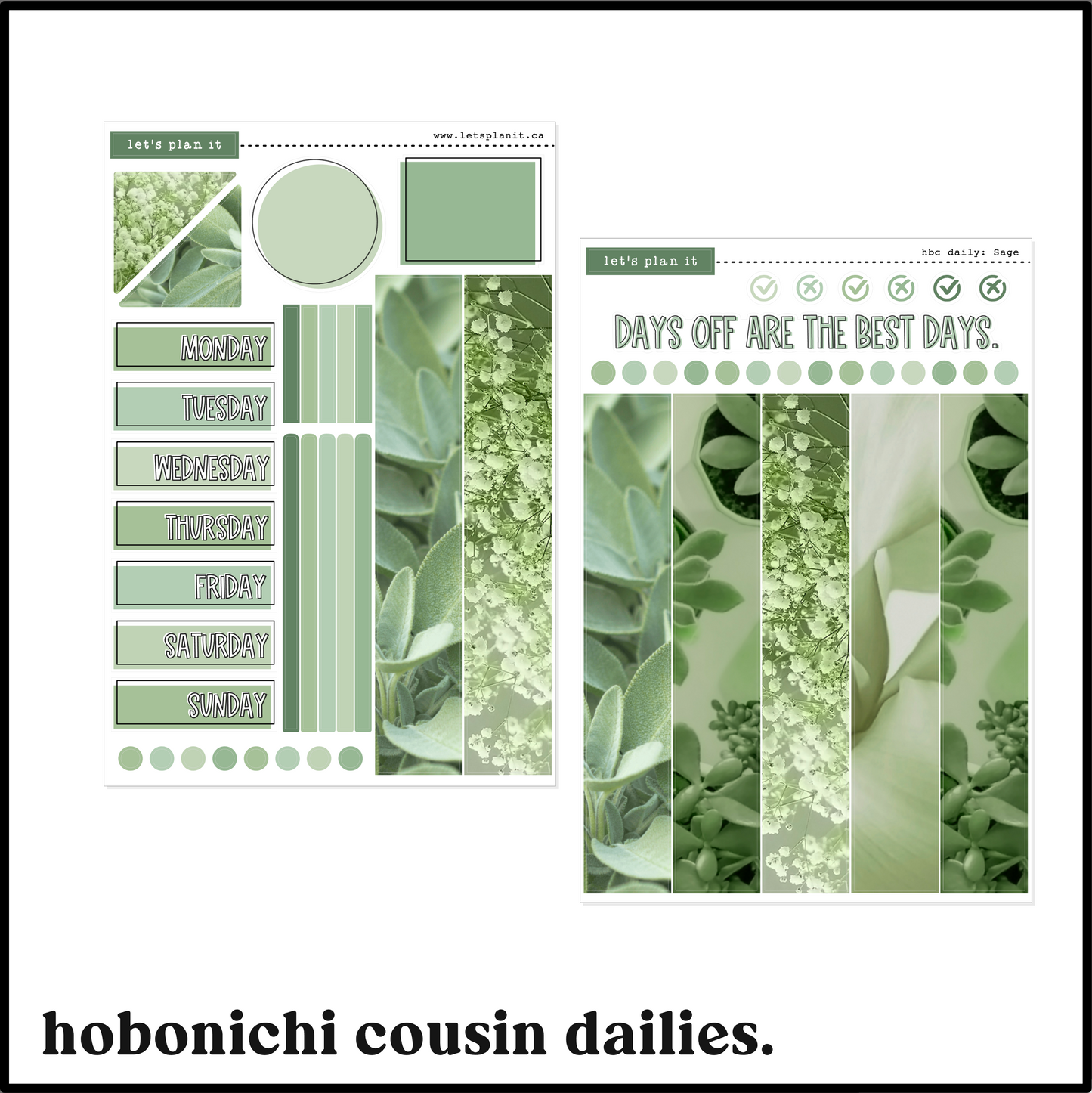 SAGE COLLECTION | Weekly Kits