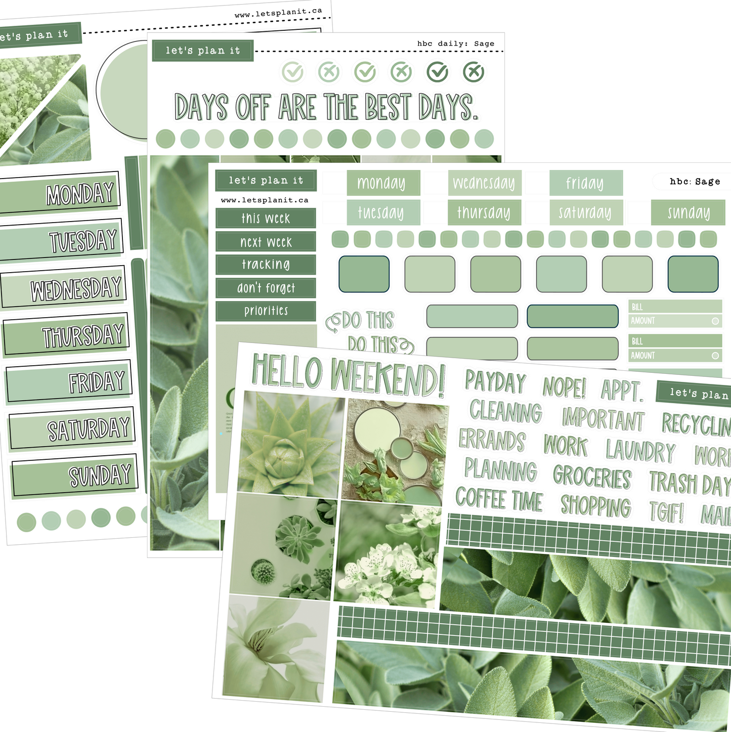 SAGE COLLECTION | Weekly Kits