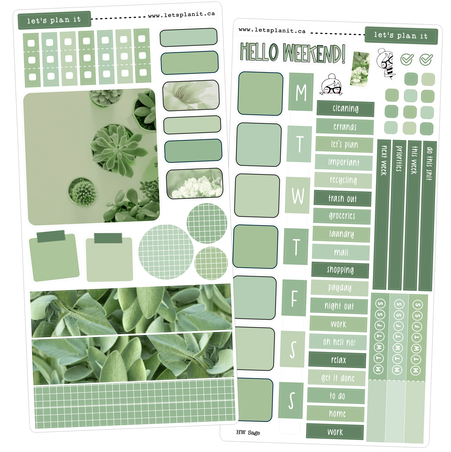 SAGE COLLECTION | Weekly Kits