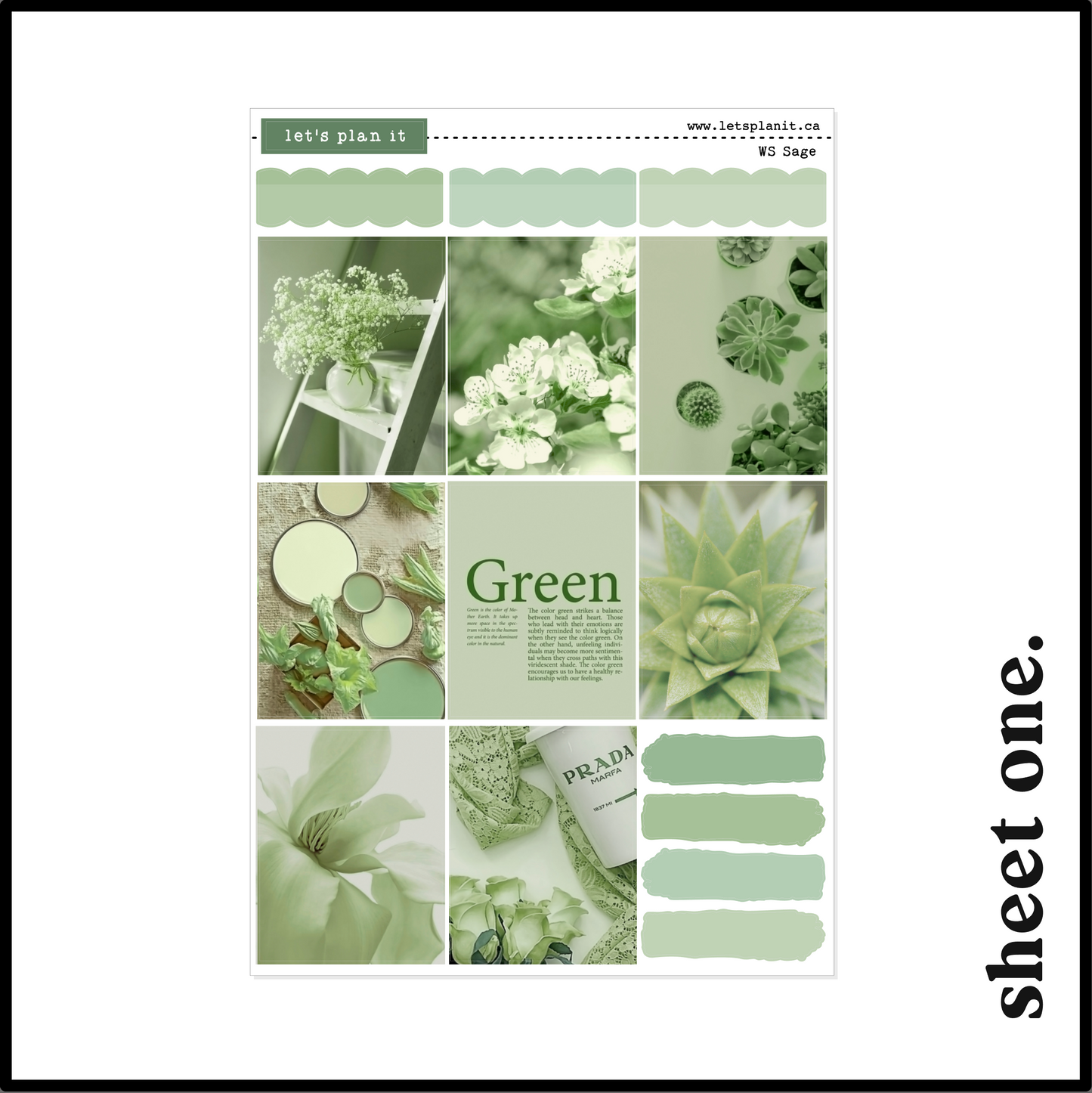 SAGE COLLECTION | Weekly Kits