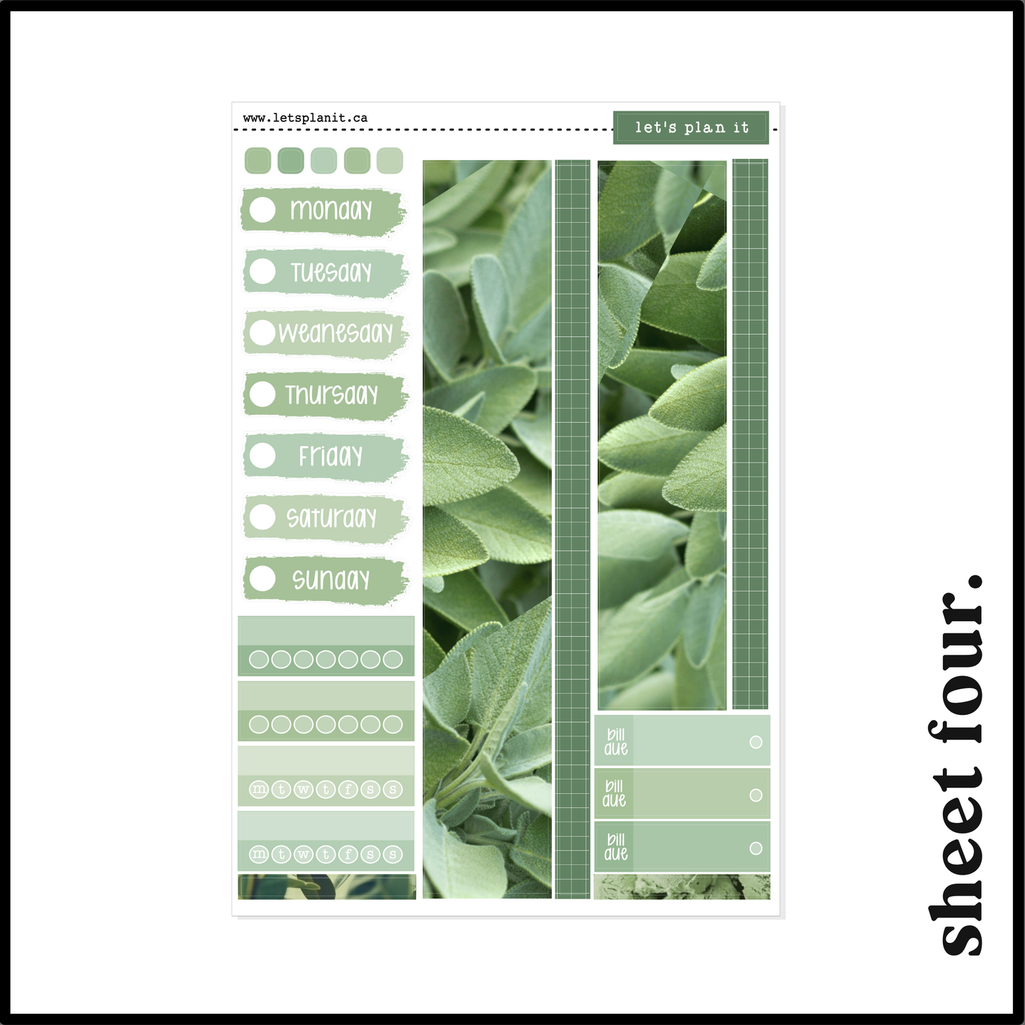 SAGE COLLECTION | Weekly Kits