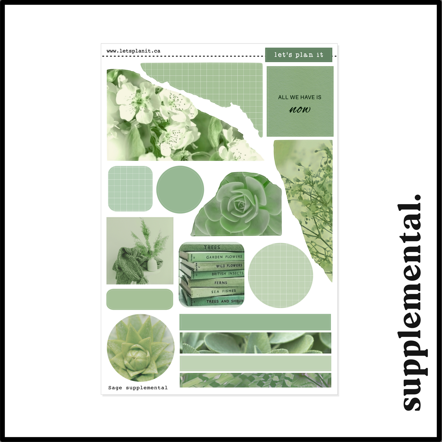 SAGE COLLECTION | Weekly Kits