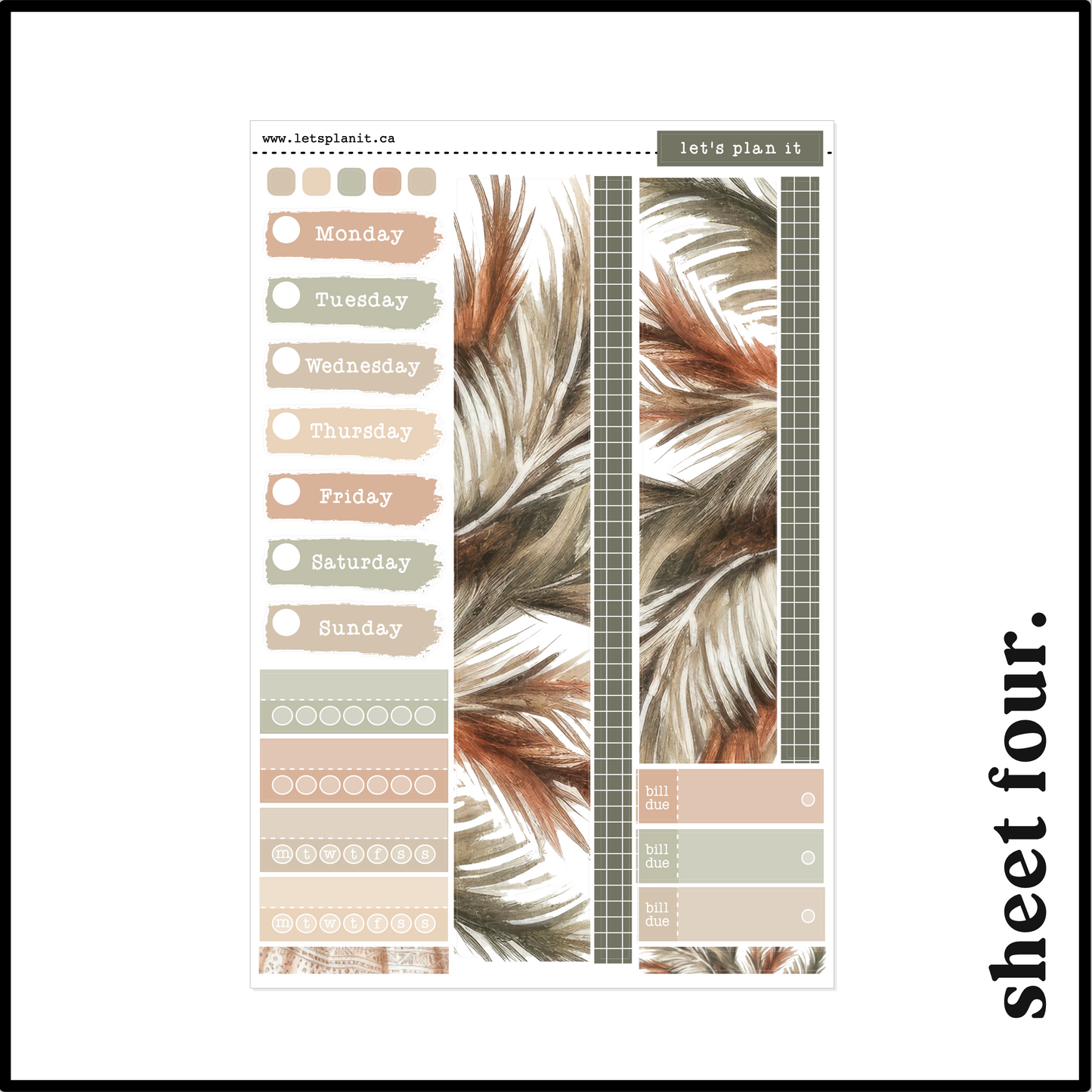 EDEN COLLECTION | Weekly Kits
