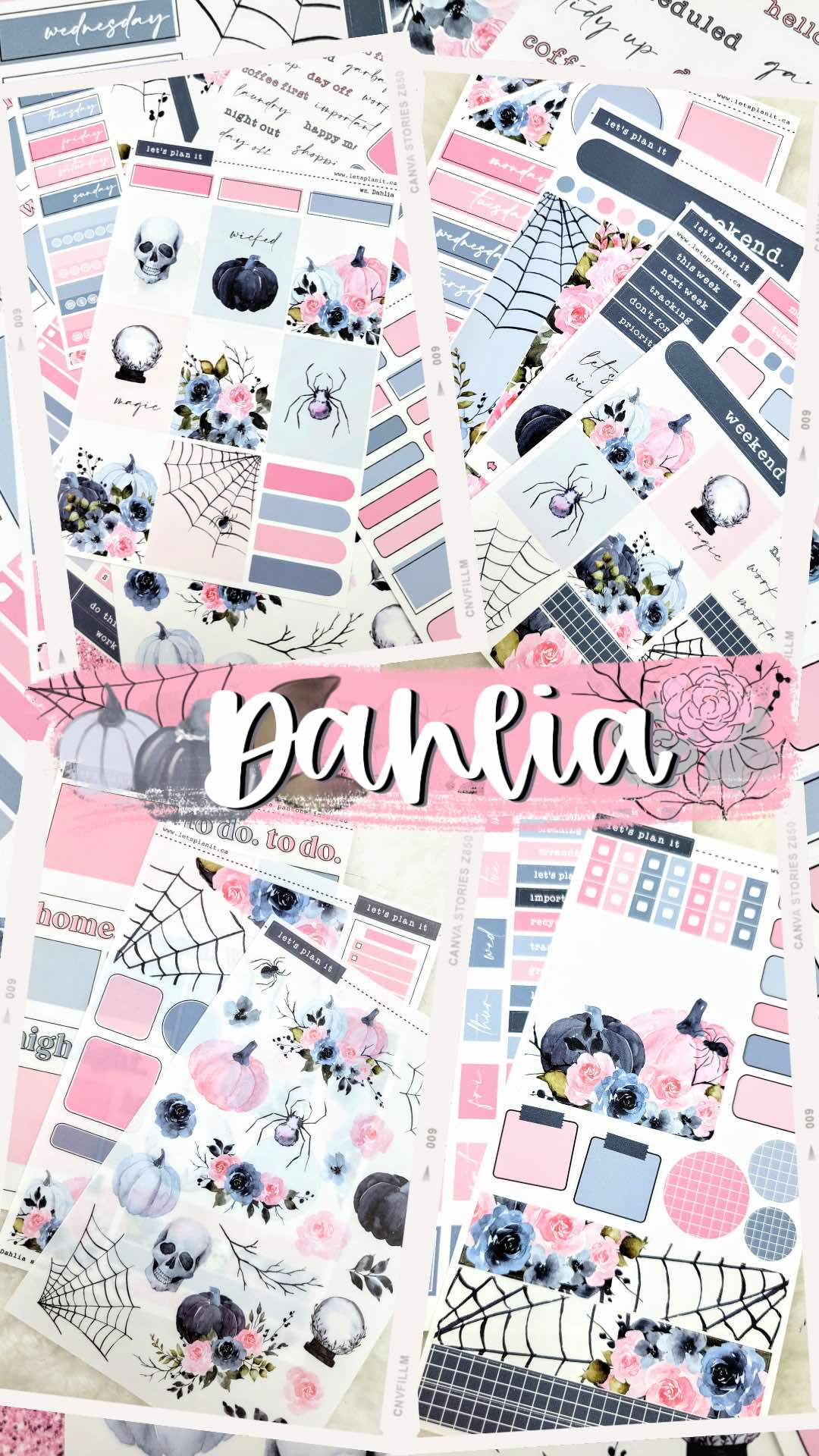 DAHLIA COLLECTION | Weekly Kits