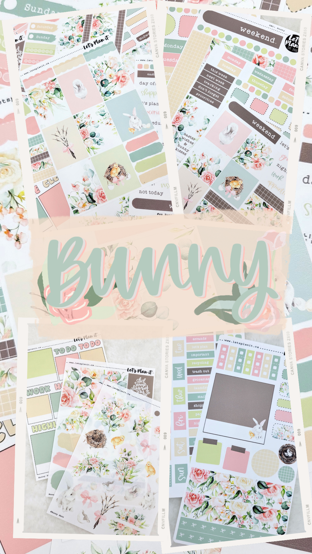 -- BUNNY COLLECTION | Weekly Kits