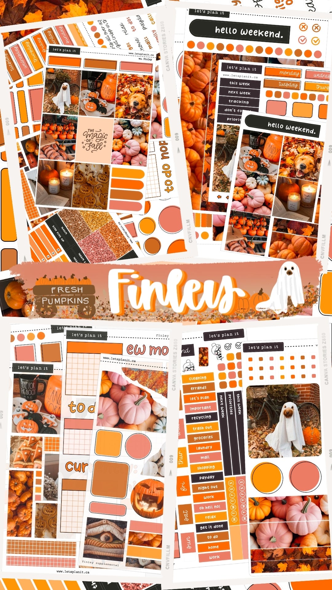 FINLEY COLLECTION | Weekly Kits