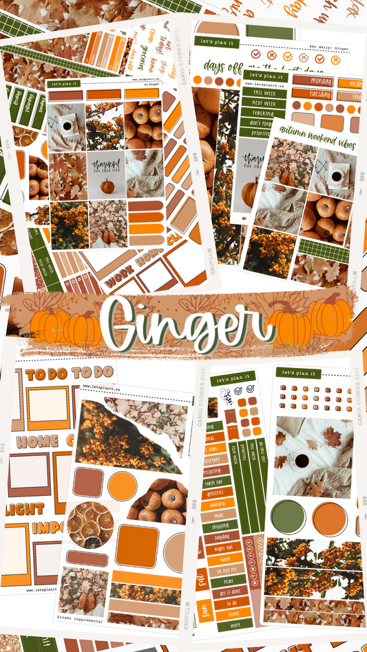 GINGER COLLECTION | Weekly Kits