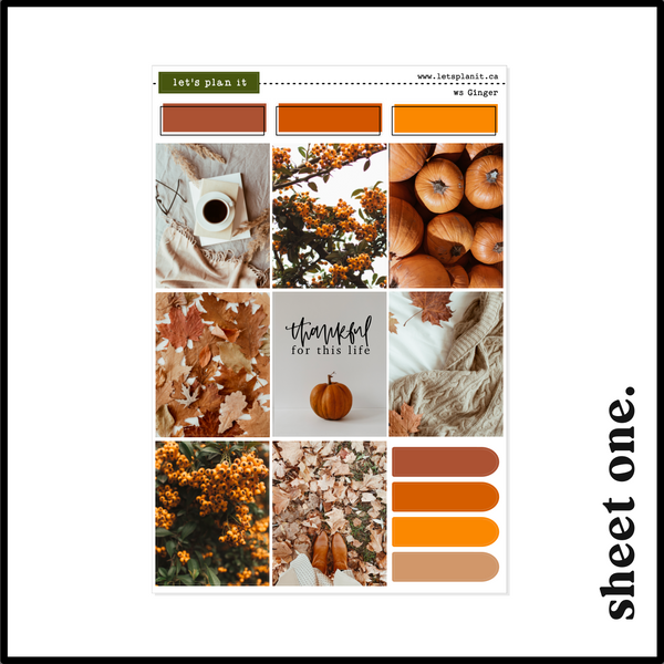 GINGER COLLECTION | Weekly Kits