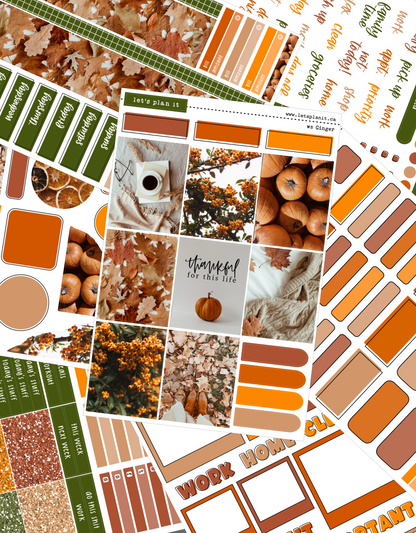 -- GINGER COLLECTION | Weekly Kits