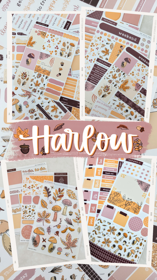 -- HARLOW COLLECTION | Weekly Kits