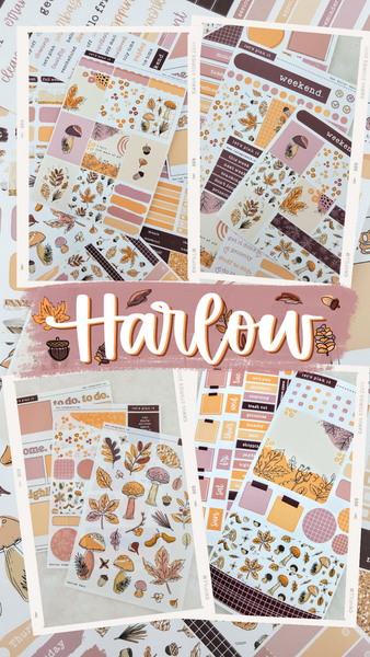 HARLOW COLLECTION | Weekly Kits
