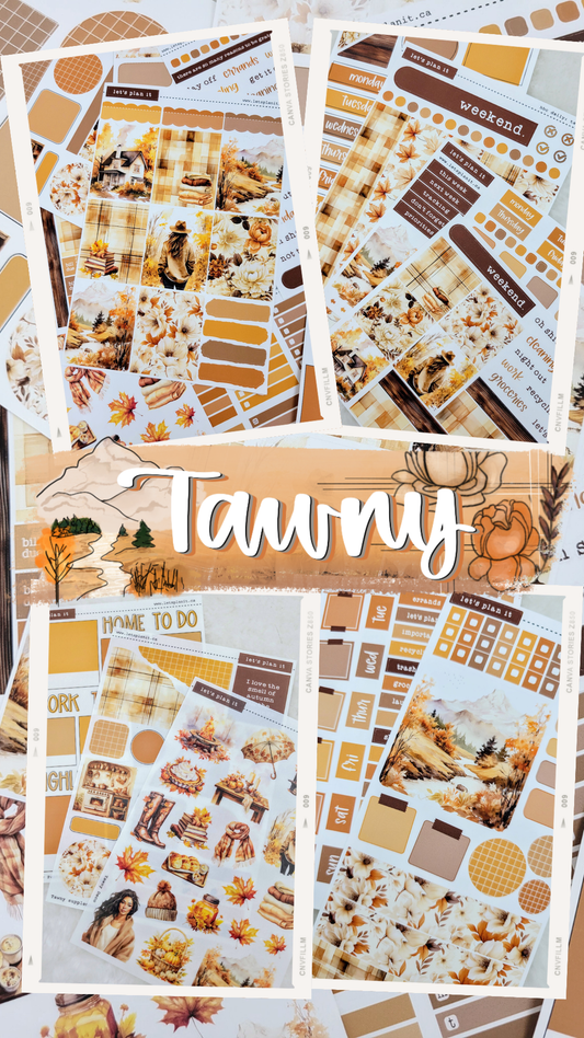 -- TAWNY COLLECTION | Weekly Kits