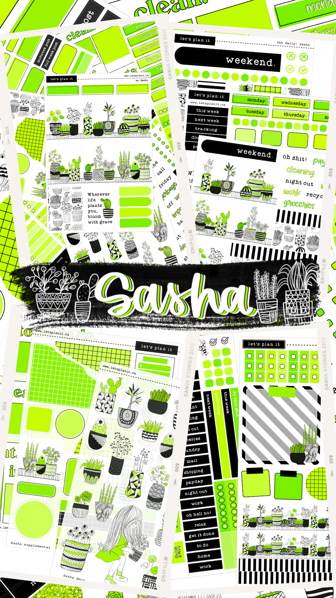 -- SASHA COLLECTION | Weekly Kits