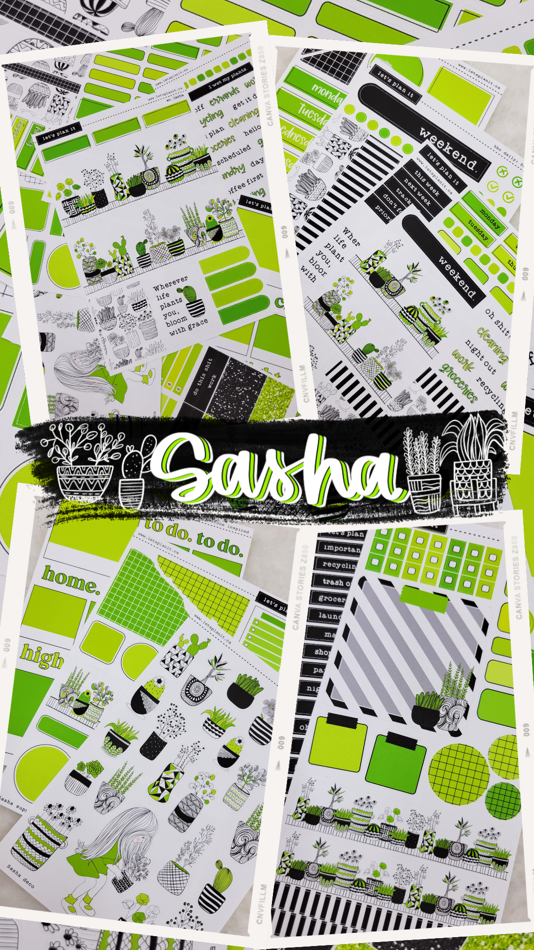 -- SASHA COLLECTION | Weekly Kits