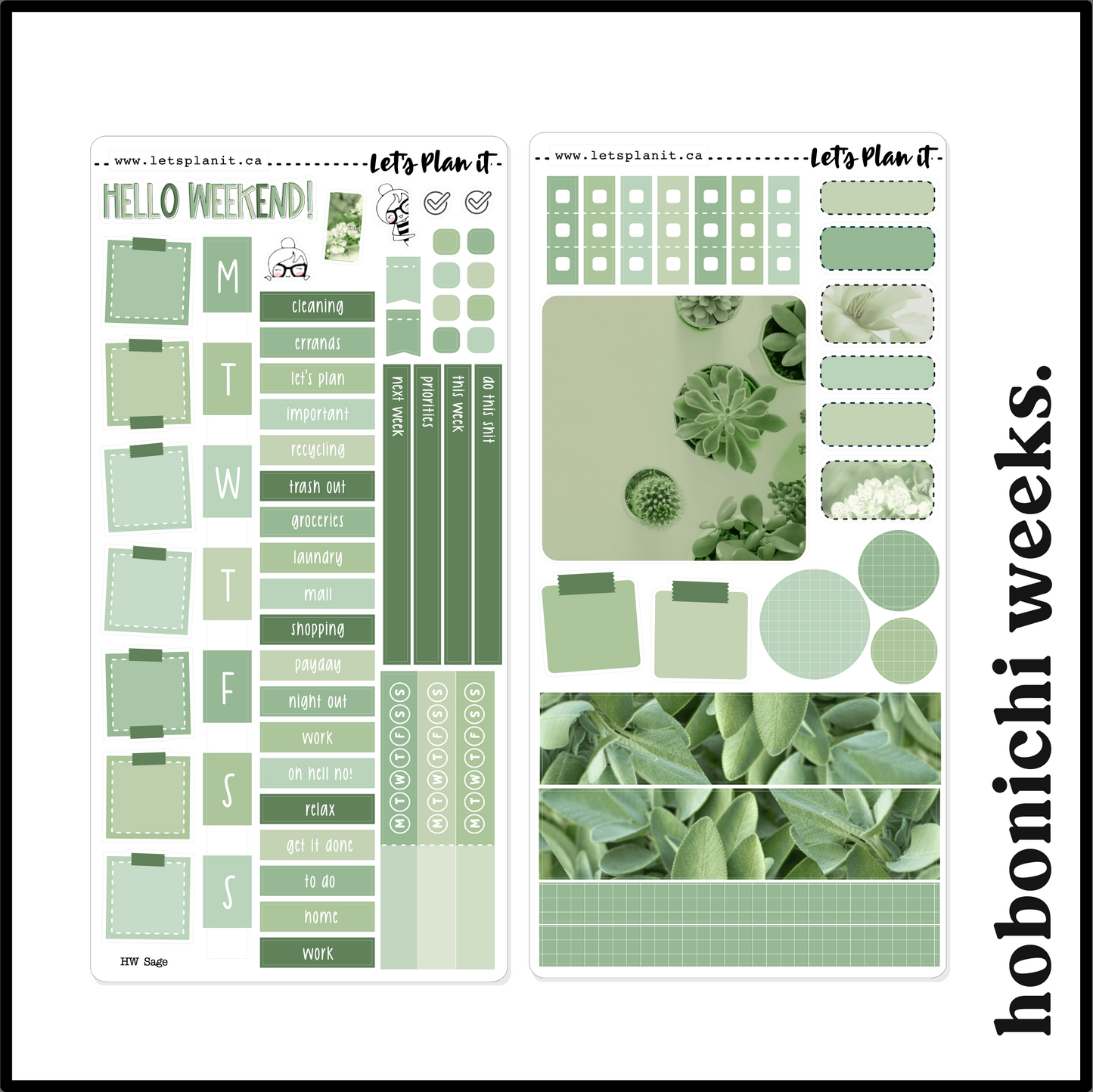 -- SAGE COLLECTION | Weekly Kits