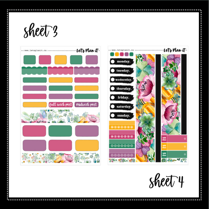 -- CLAIRE COLLECTION | Weekly Kits