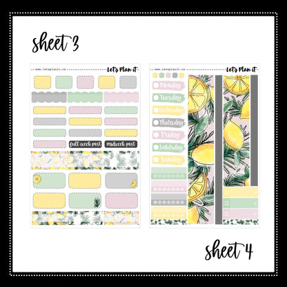 -- LILY COLLECTION | Weekly Kits