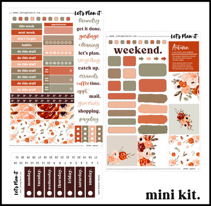 -- AMBER COLLECTION | Weekly Kits