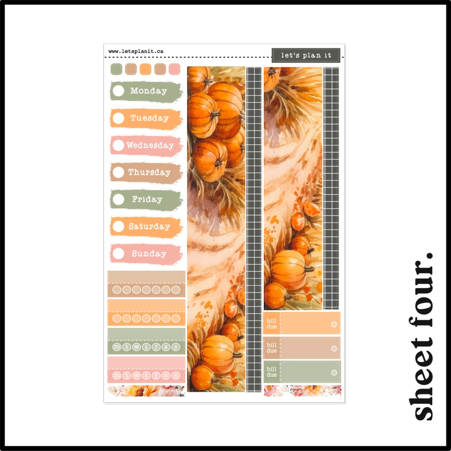 -- SAVANNAH COLLECTION | Weekly Kits