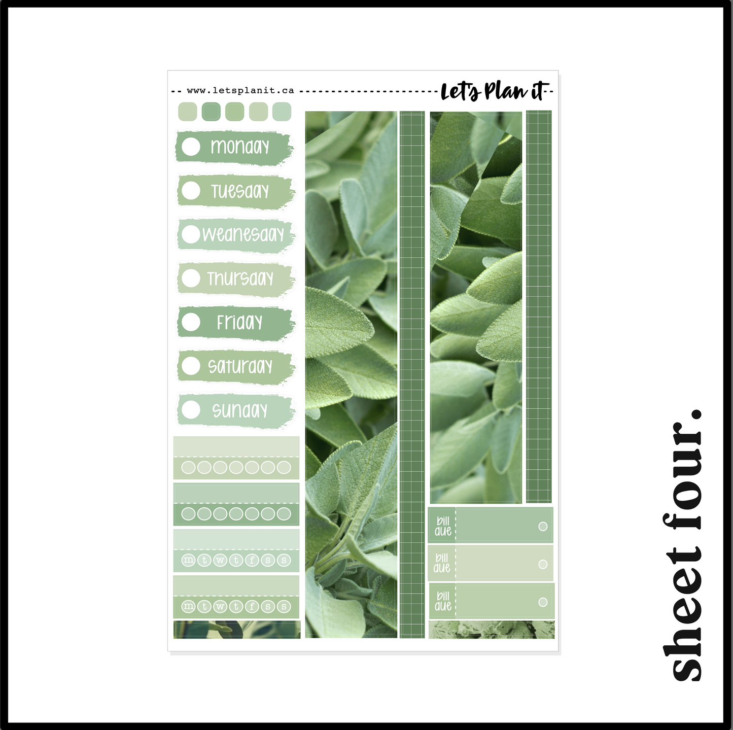 -- SAGE COLLECTION | Weekly Kits