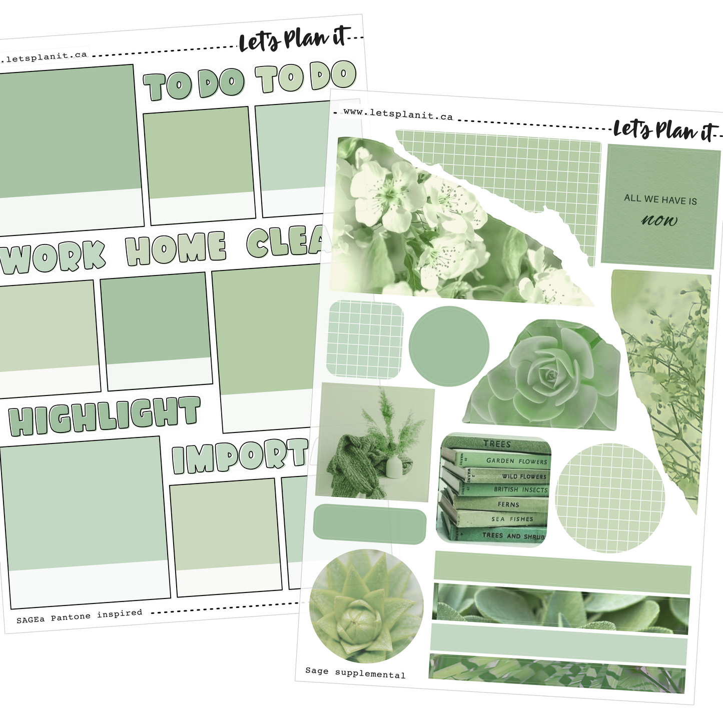 -- SAGE COLLECTION | Weekly Kits