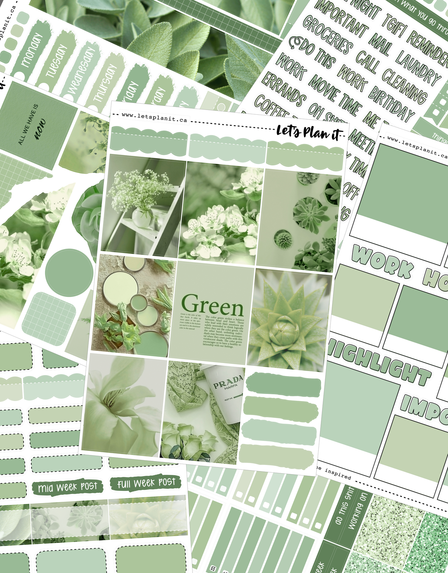 -- SAGE COLLECTION | Weekly Kits