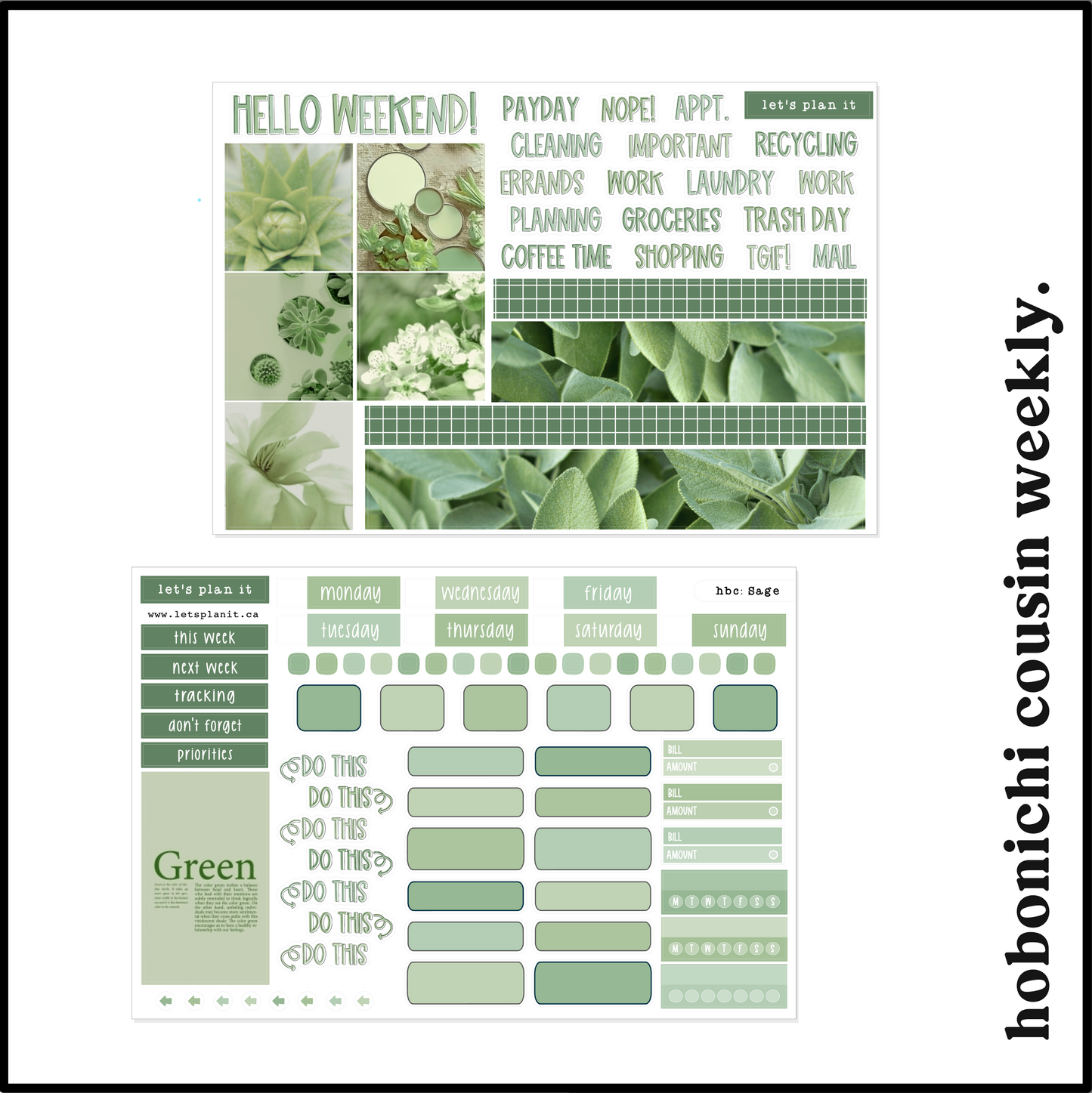 SAGE COLLECTION | Weekly Kits