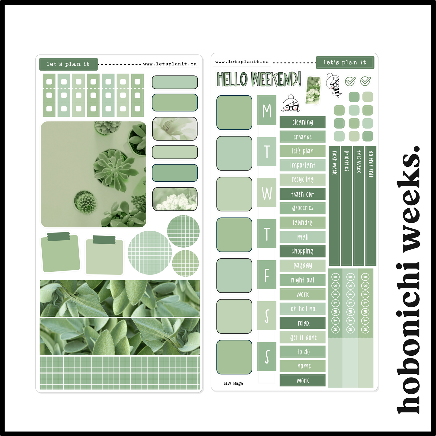 SAGE COLLECTION | Weekly Kits