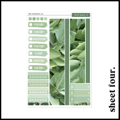 SAGE COLLECTION | Weekly Kits