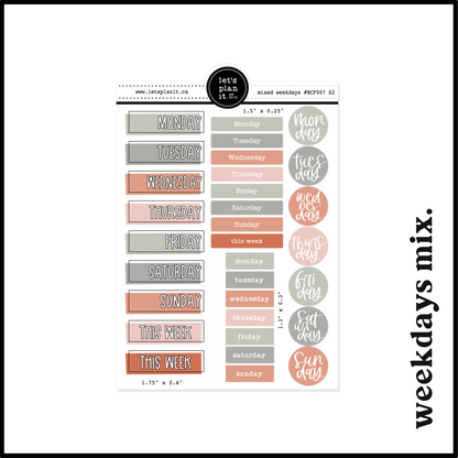 NEUTRAL SPRING FUNCTIONALS | Planning Essentials