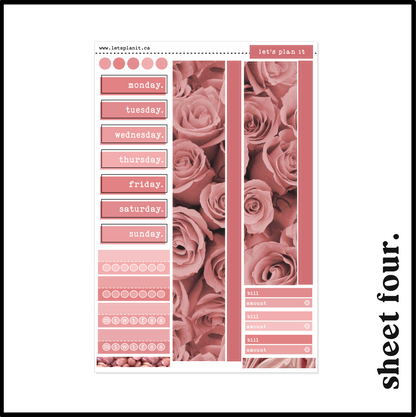 VIVIENNE COLLECTION | Weekly Kits