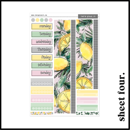 LILY COLLECTION | Weekly Kits