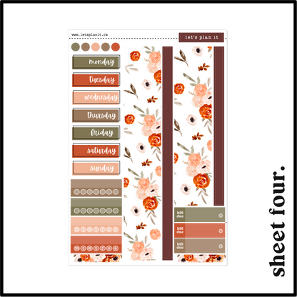 AMBER COLLECTION | Weekly Kits