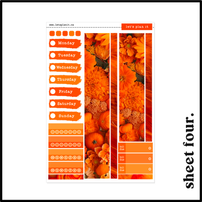 TAYLOR COLLECTION | Weekly Kits