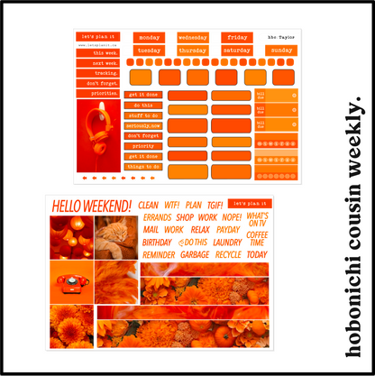 TAYLOR COLLECTION | Weekly Kits