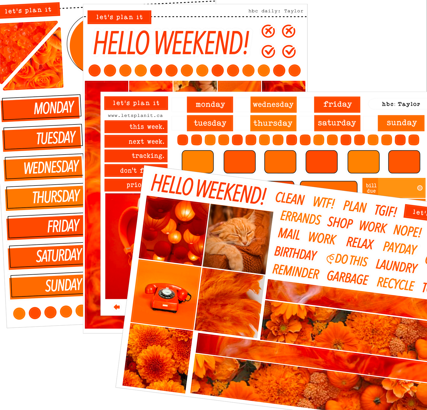 TAYLOR COLLECTION | Weekly Kits