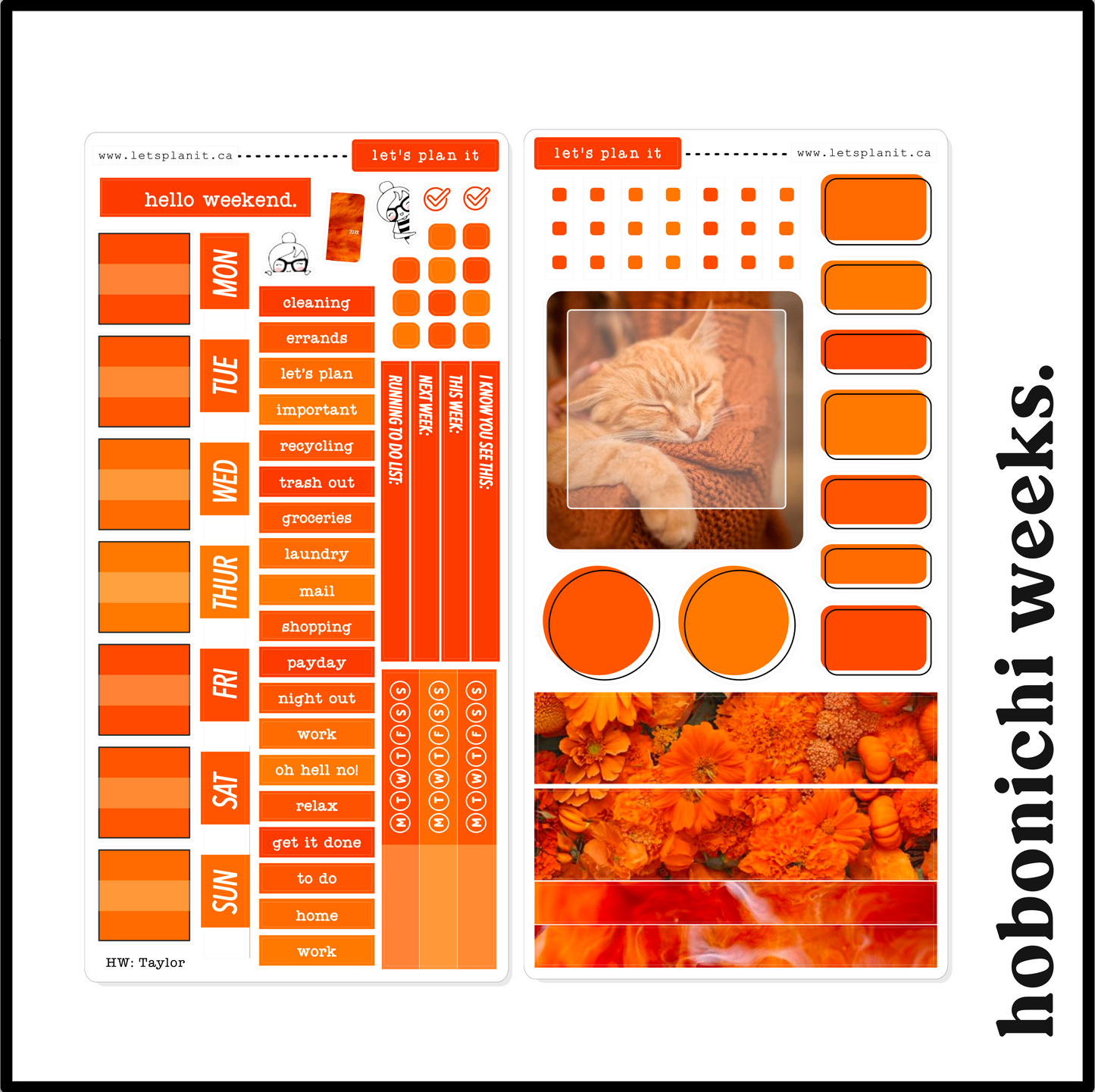 TAYLOR COLLECTION | Weekly Kits